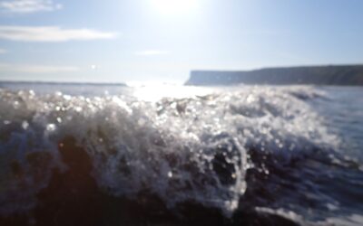 Taking the plunge for a good cause – sponsored Sea Dip for Redcar Area Foodbank